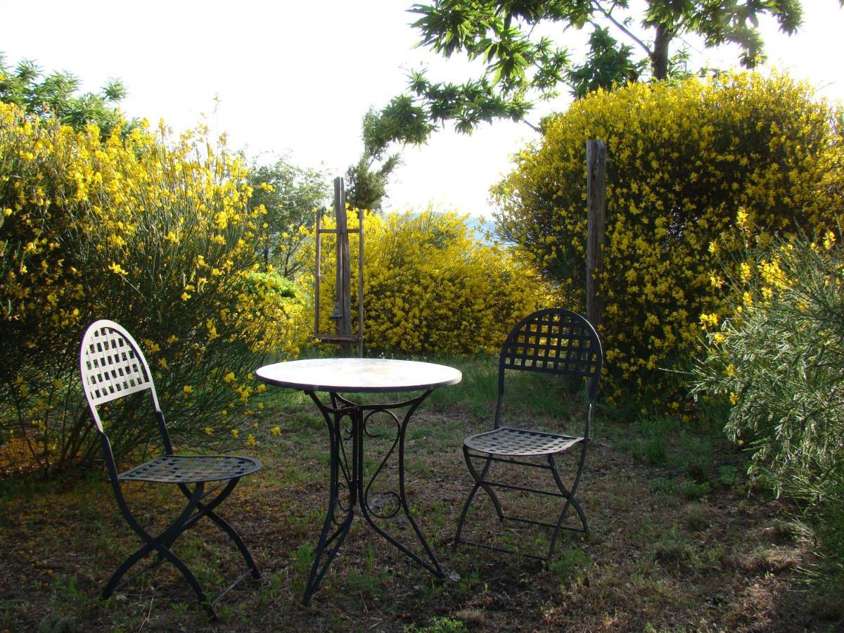 Borgo Tepolini Country House Кастел дел Пиано Екстериор снимка